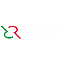 Bonamici Racing Engine Protection Left Side for the Ducati Panigale V2 Racing 'All Years Bonamici Racing Engine Protection Left Side for the Ducati Panigale V2 Racing 'All Years